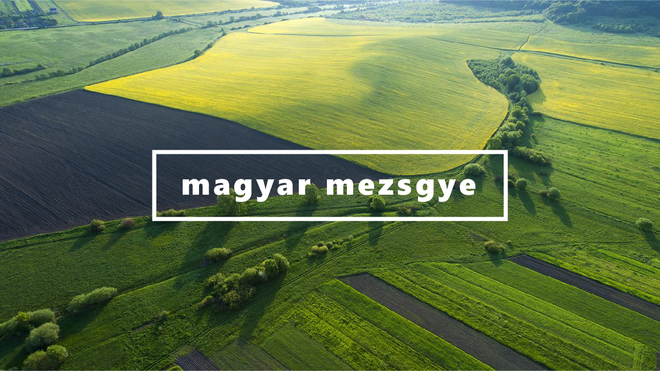 Magyar Mezsgye